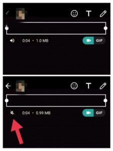 whatsapp-mute-video_34-225x300 Как отключить звук видео в WhatsApp перед отправкой